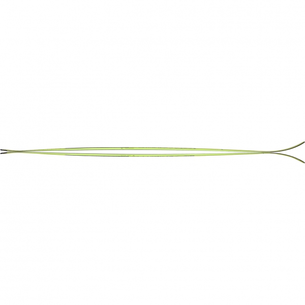 Narty SKITUROWE SUPERSCOUT - 176 cm MAJESTY