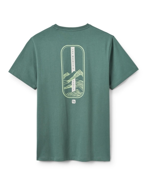 Męska koszulka Stance Strata Tee Rab