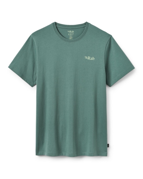 Męska koszulka Stance Strata Tee Rab